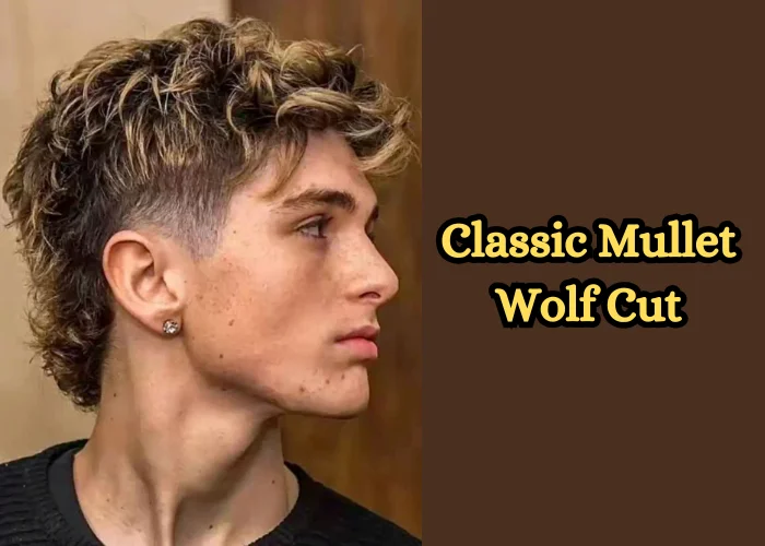 Classic Mullet Wolf Cut