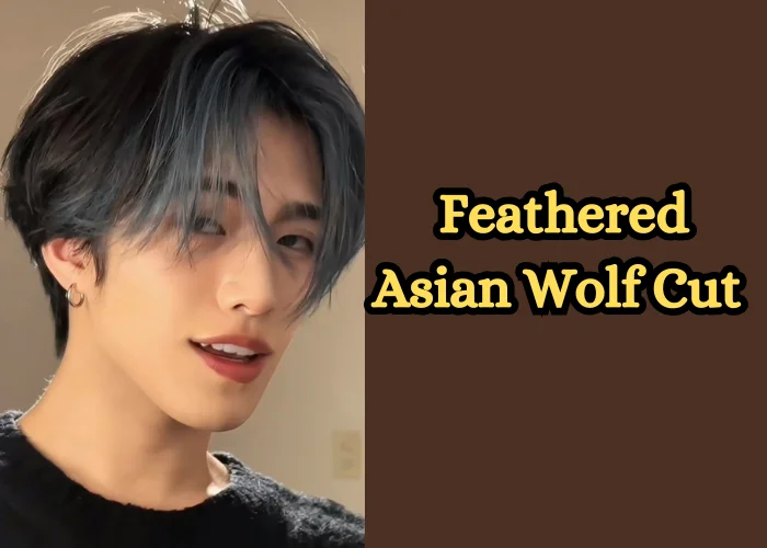 Feathered Asian Wolf Cut