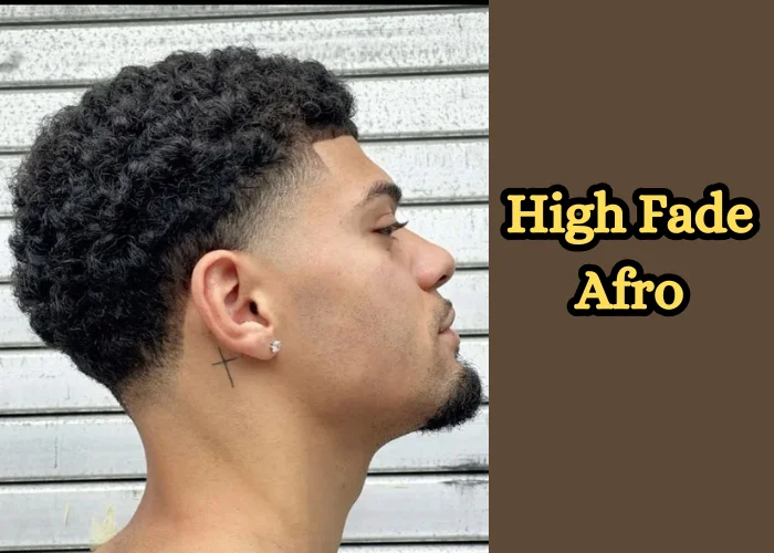 High Fade Afro