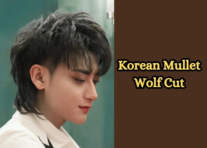 Korean Mullet Wolf Cut