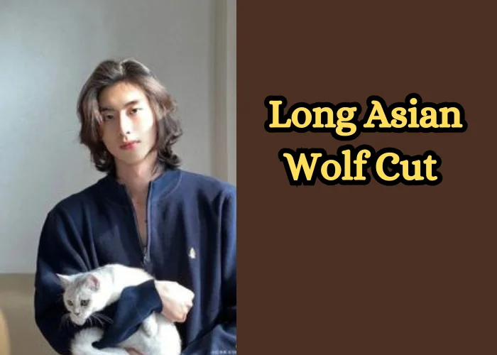 Long Asian Wolf Cut