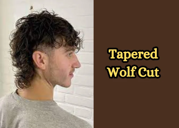 Tapered Wolf Cut